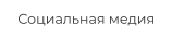 Социальная медия